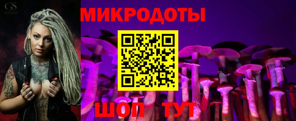 Галлюциногенные грибы Psilocybe Бирск